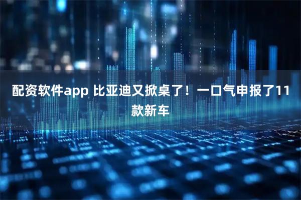 配资软件app 比亚迪又掀桌了！一口气申报了11款新车